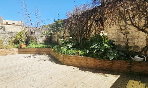 V1736-2026 PHOTO (1)